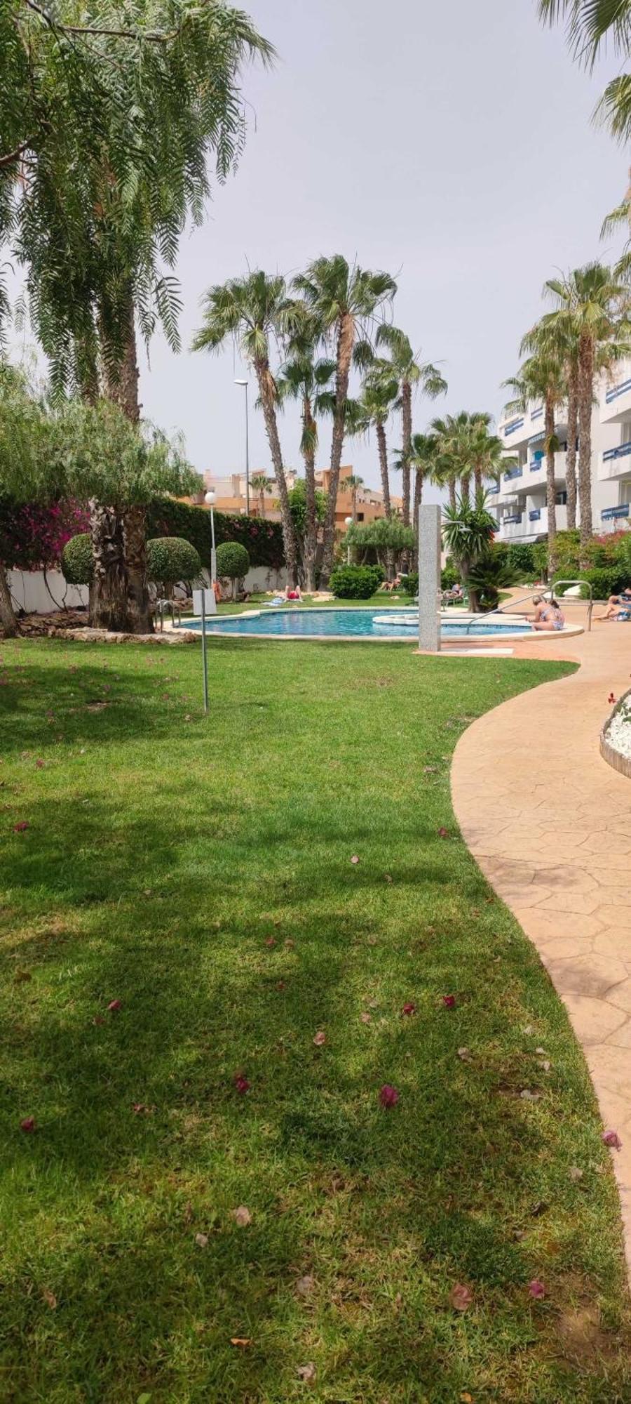 Appartement Casa Del Sol- La Calma-playa Flamenca-4 Swimming Pools-private Parking Place Dehesa de Campoamor (Orihuela Costa)
